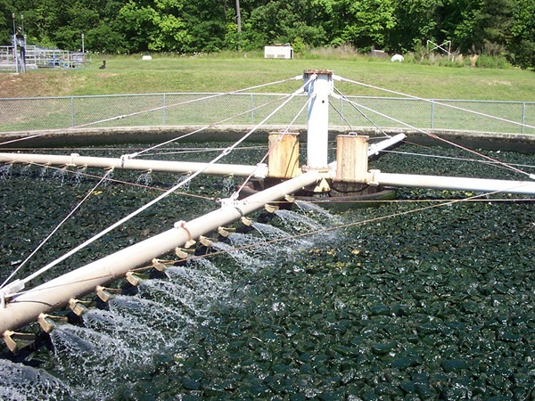 Ứng dụng của xử lý nước thải bằng phương pháp sinh học