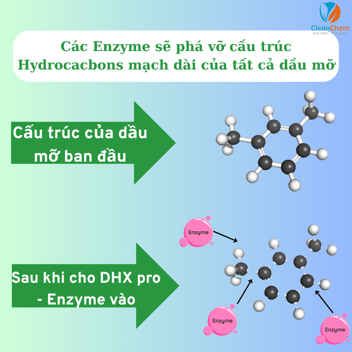 Các enzyme trong DHX Pro sẽ phá vỡ cấu cấu trúc Hydrocacbons mạch dài của dầu mỡ